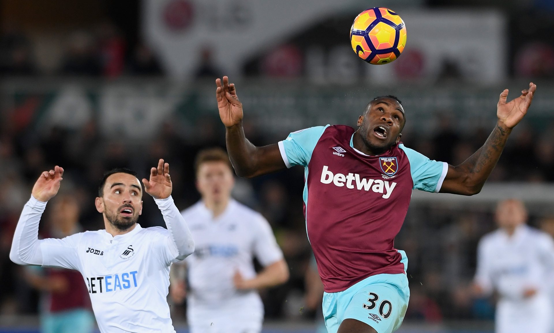 不仅具备出 不仅具备出