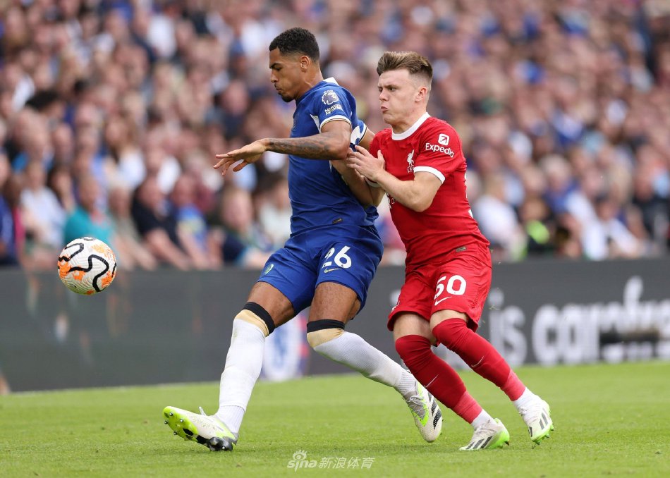 的情况下 的情况下