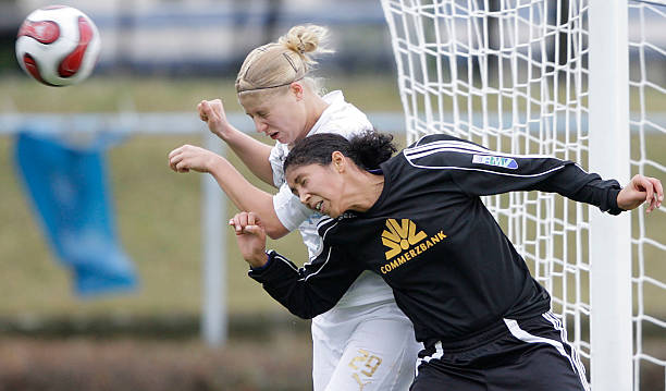 组合劳塔罗 组合劳塔罗